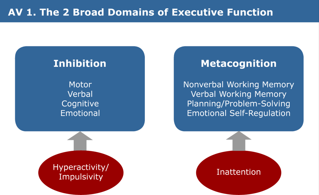 Infographic on executive function domains: inhibition and metacognition in ADHD
