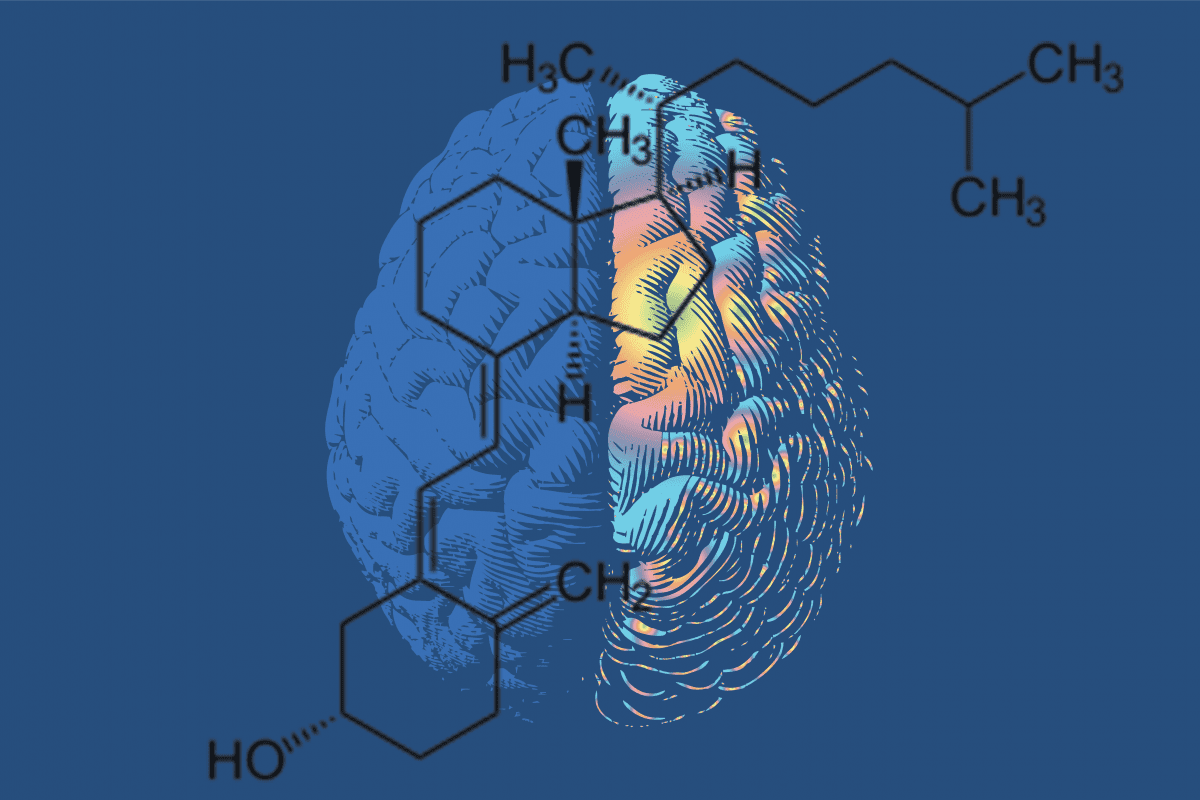 Vitamin D represents a promising new area of research in dementia risk reduction.