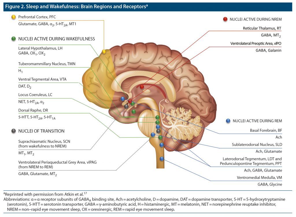 A 2023 Update On Managing Insomnia In Primary Care Insights From An A 2023 Update On Managing Insomnia In Primary Care Insights From An