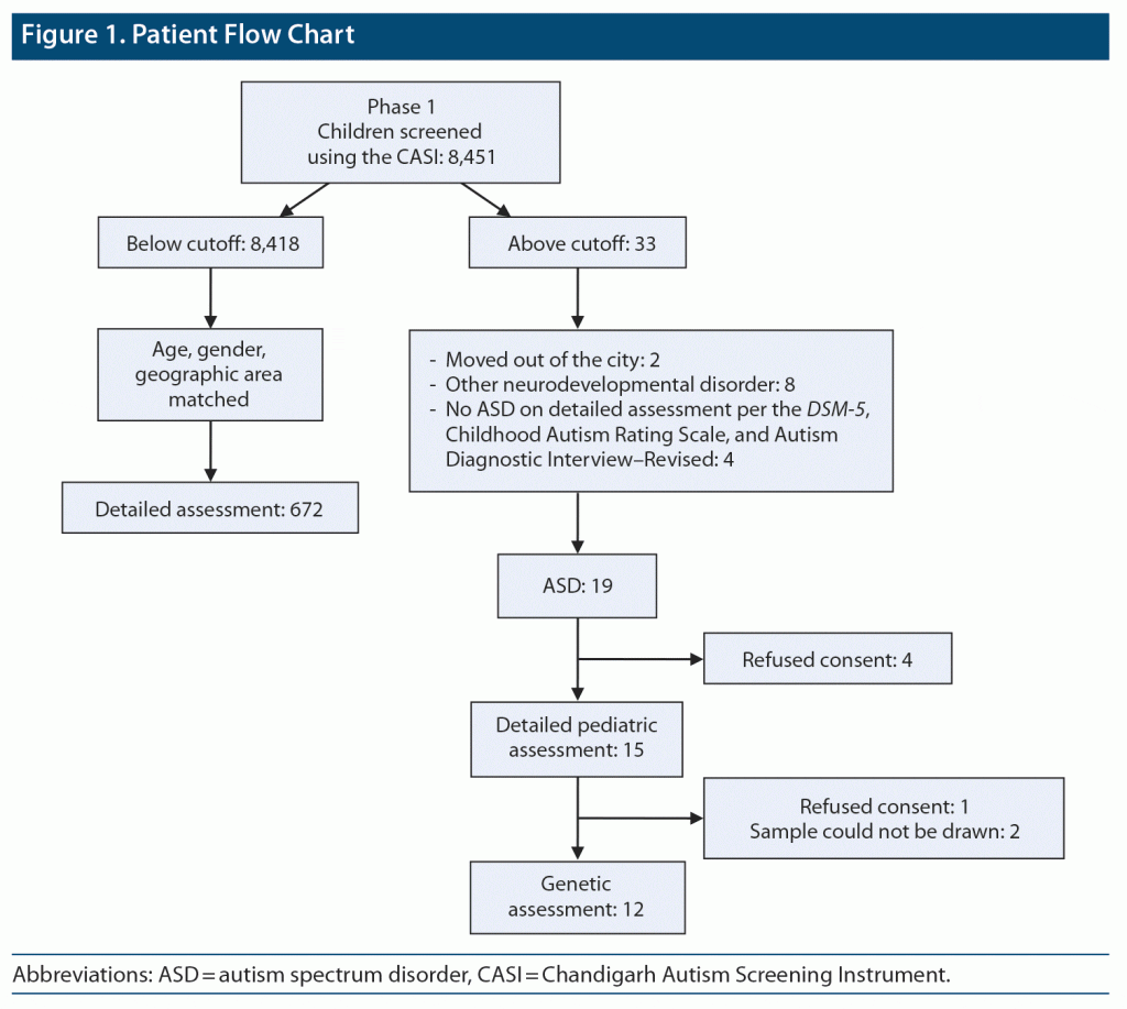 Patient flow chart about risk factors in children with autism spectrum disorder 