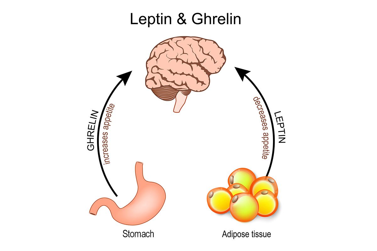 Lower Ghrelin Levels Are Associated With Higher Anxiety Symptoms in Adolescents and Young Adults With Avoidant/Restrictive Food Intake Disorder