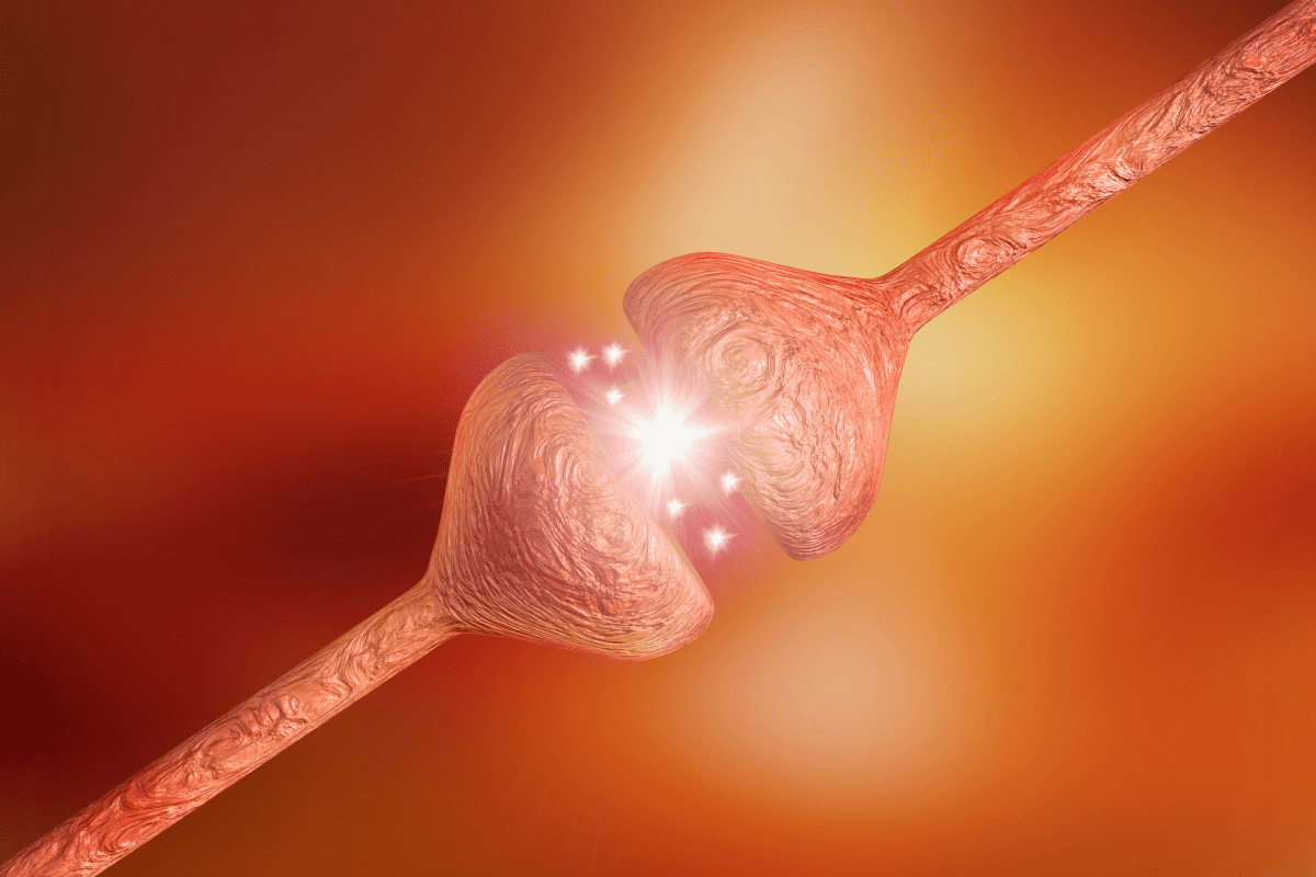 The new dual agonist drug, DA5-CH, has shown promising results in Parkinson's disease trials, outperforming diabetes drug Semaglutide in a rat model by mitigating symptoms and inflammation, and protecting neurons.