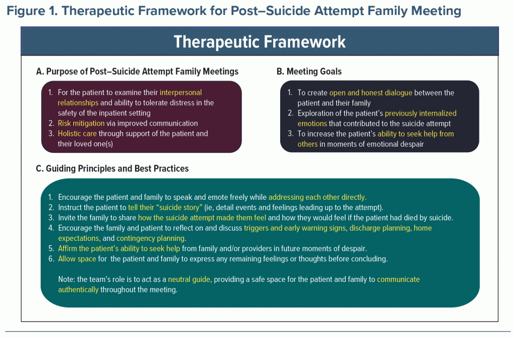 Figure-1 Therapeutic Framework Post Suicide Attempt Meeting