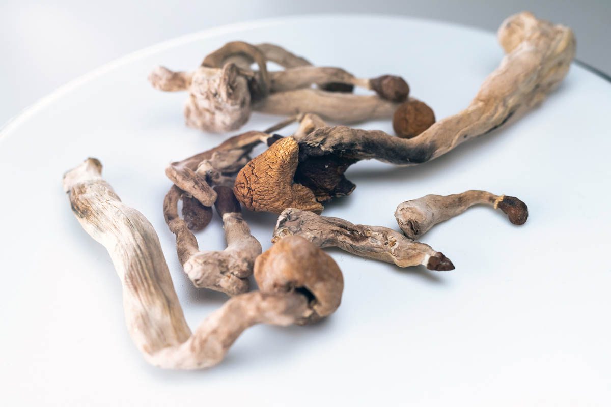 Medical Uses and Adverse Effects of Psilocybin