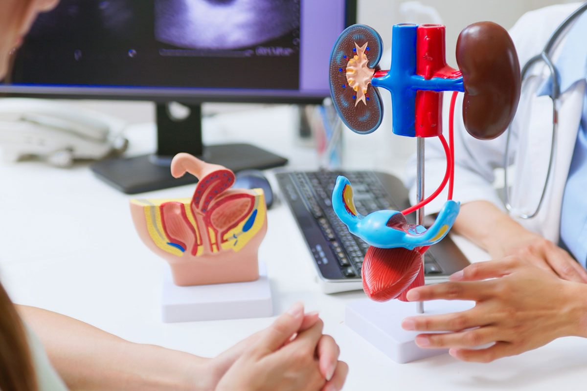 Urological Commentary on Ketamine-Associated Uropathy