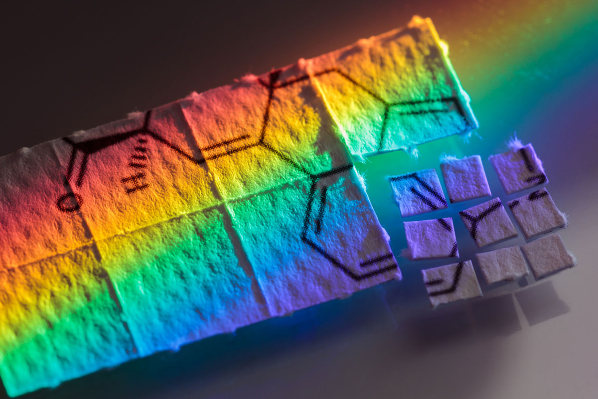 LSD-Induced Catatonia in an Adolescent