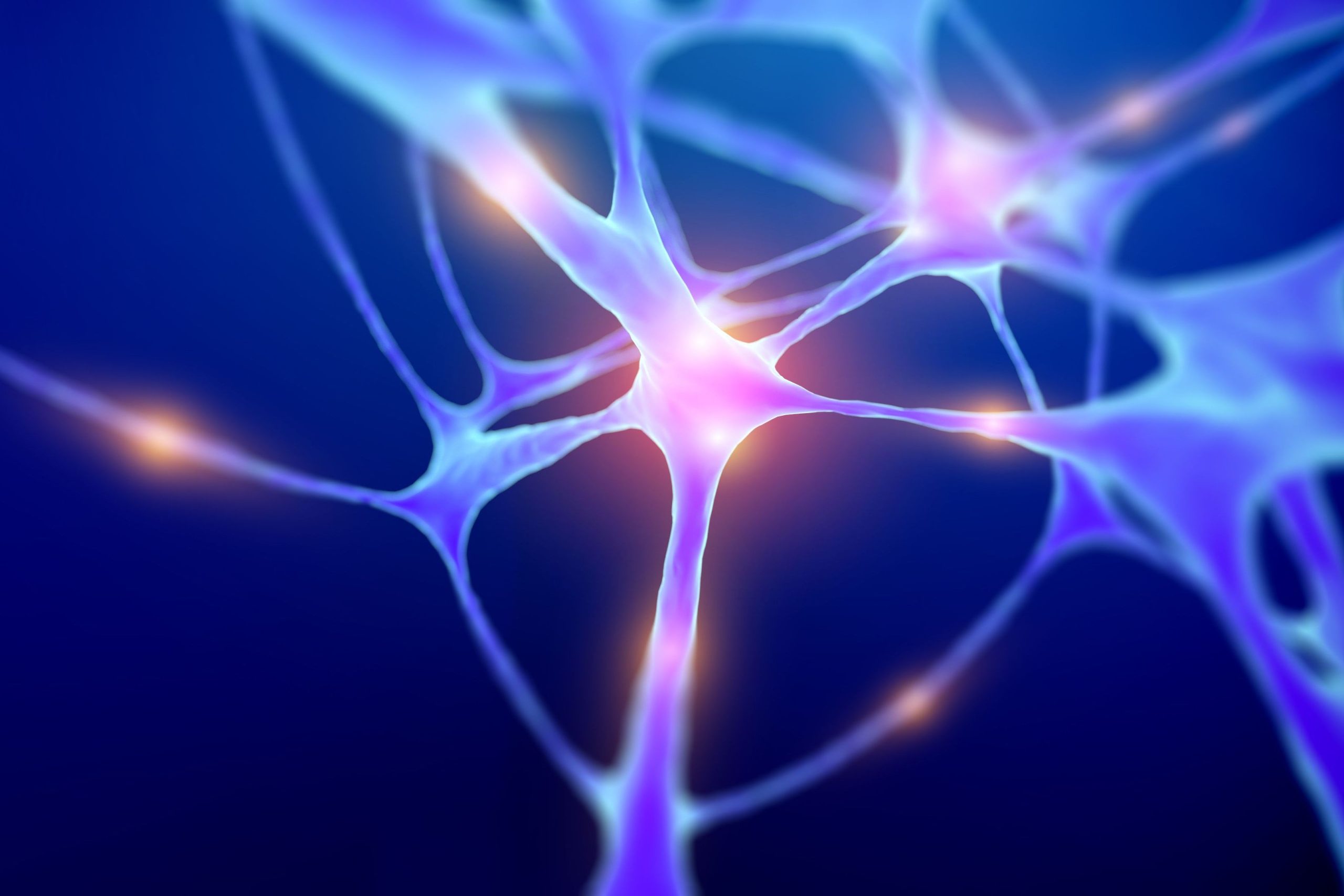Rebuilding Synapses: Neuroplasticity as an Emerging Target in Generalized Anxiety Disorder