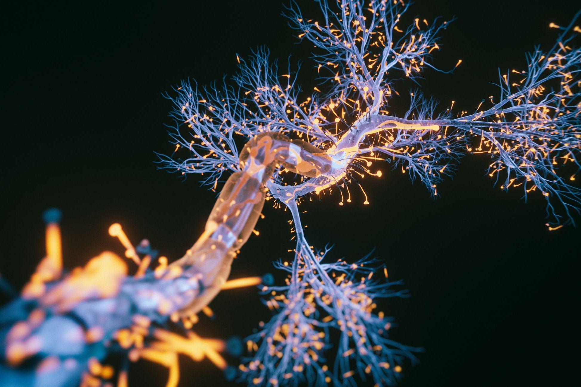 The Receptor at the Center of Psychedelic Therapies for GAD