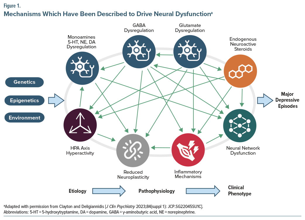 Flowchart of mechanisms impacting neural dysfunction linked to major depressive episodes